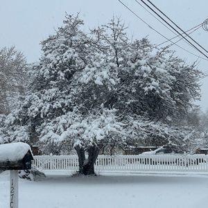 Meet your Posher, Carrie